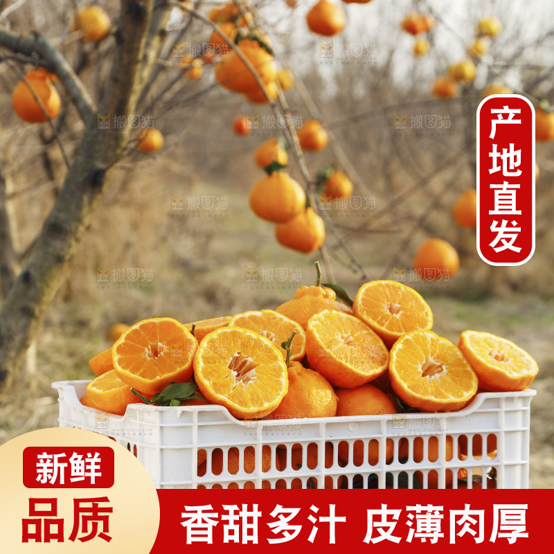 框子里装着丑橘