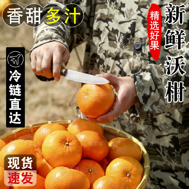 刀切着武鸣沃柑