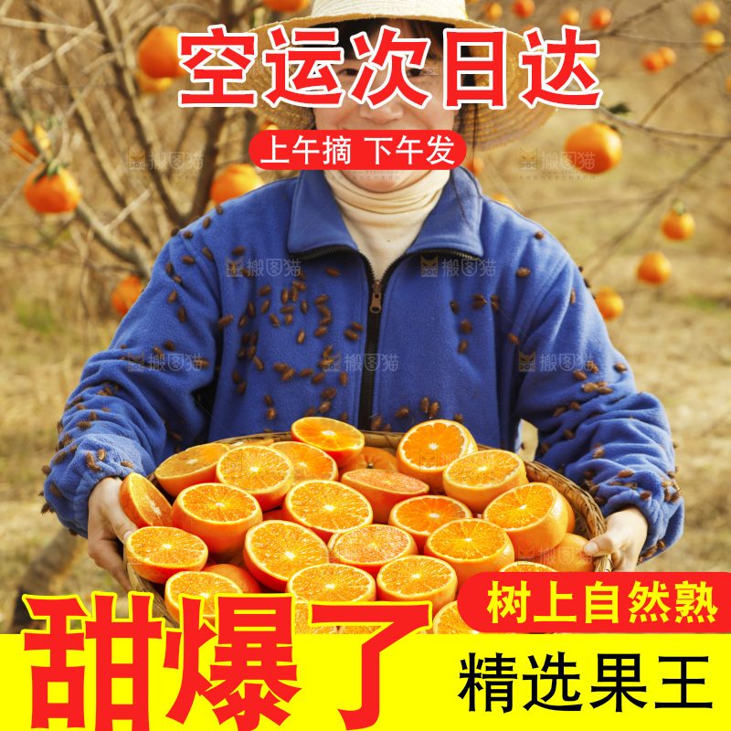 果园女人手里端着一篮沃柑