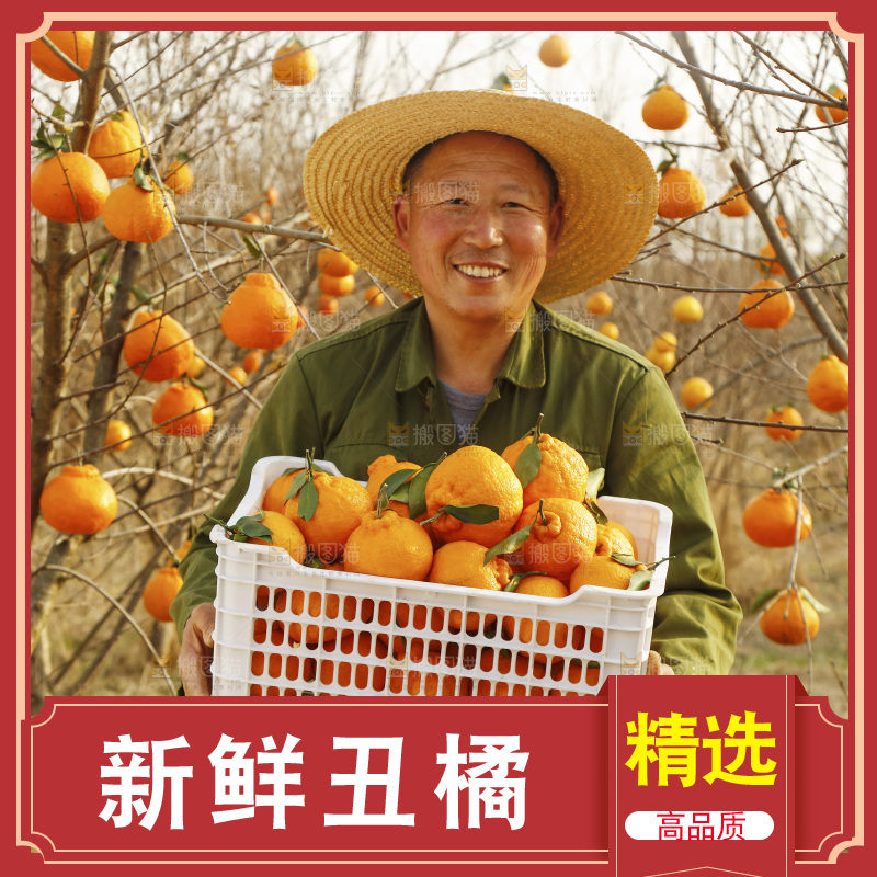 果雷锋农民手里抱着一框四川丑橘