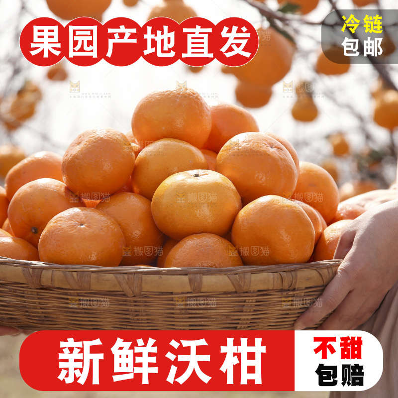 抬着一篮子武鸣沃柑