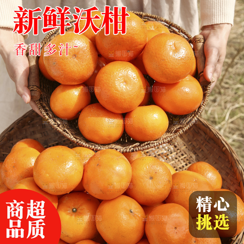 手里端着一篮广西武鸣沃柑
