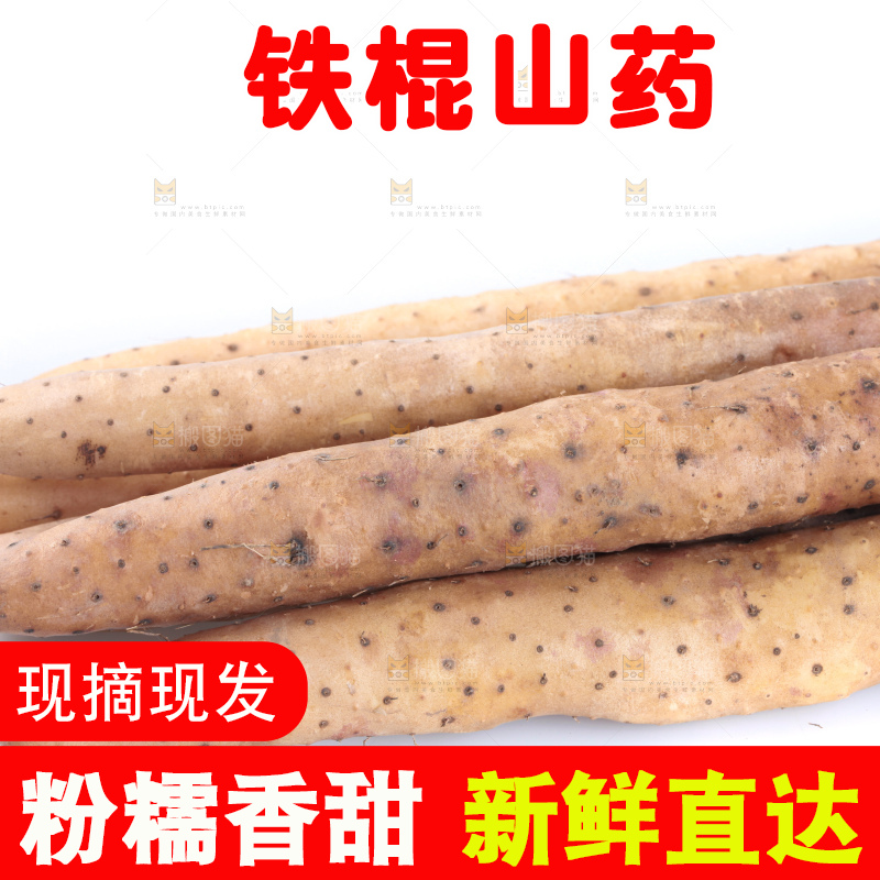 白底上摆放着铁棍山药