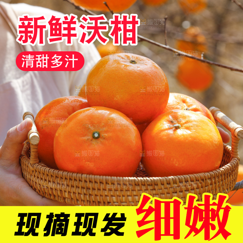 手里端着一篮新鲜沃柑