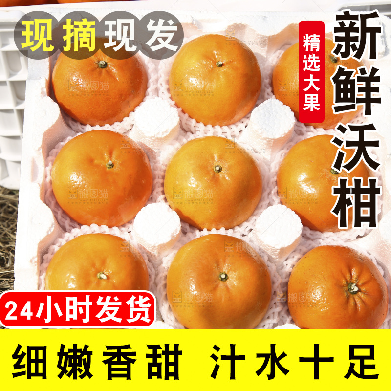 泡沫箱里装着武鸣沃柑