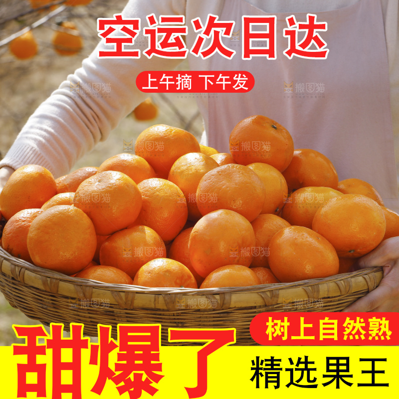 手里端着一篮新鲜沃柑