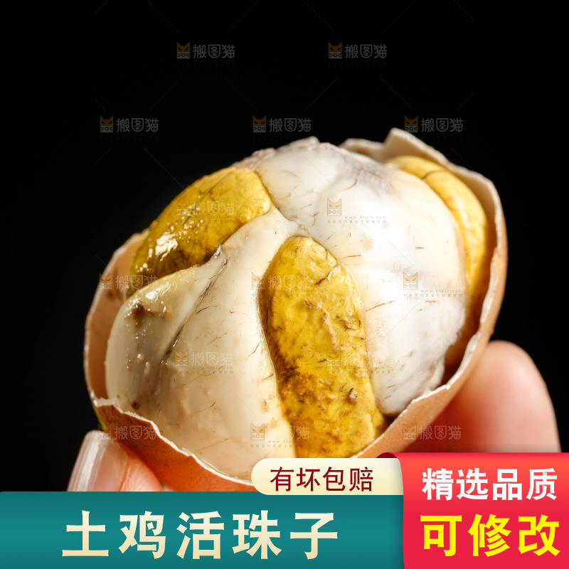 手里拿着活珠子