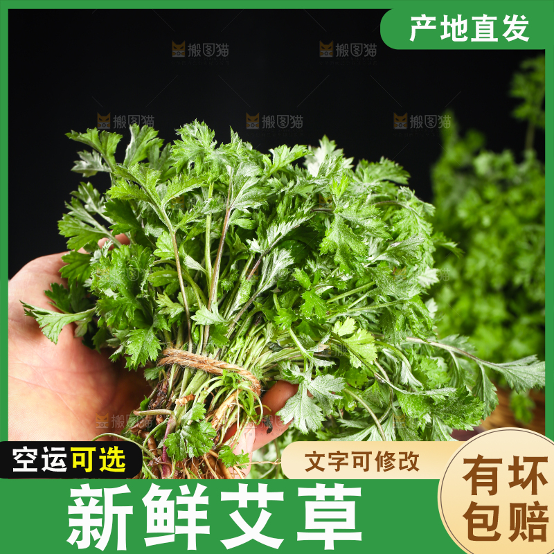 手里拿着新鲜艾草