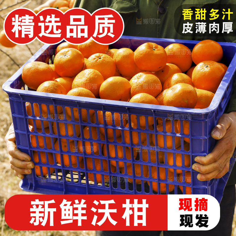 手里抱着一框沃柑