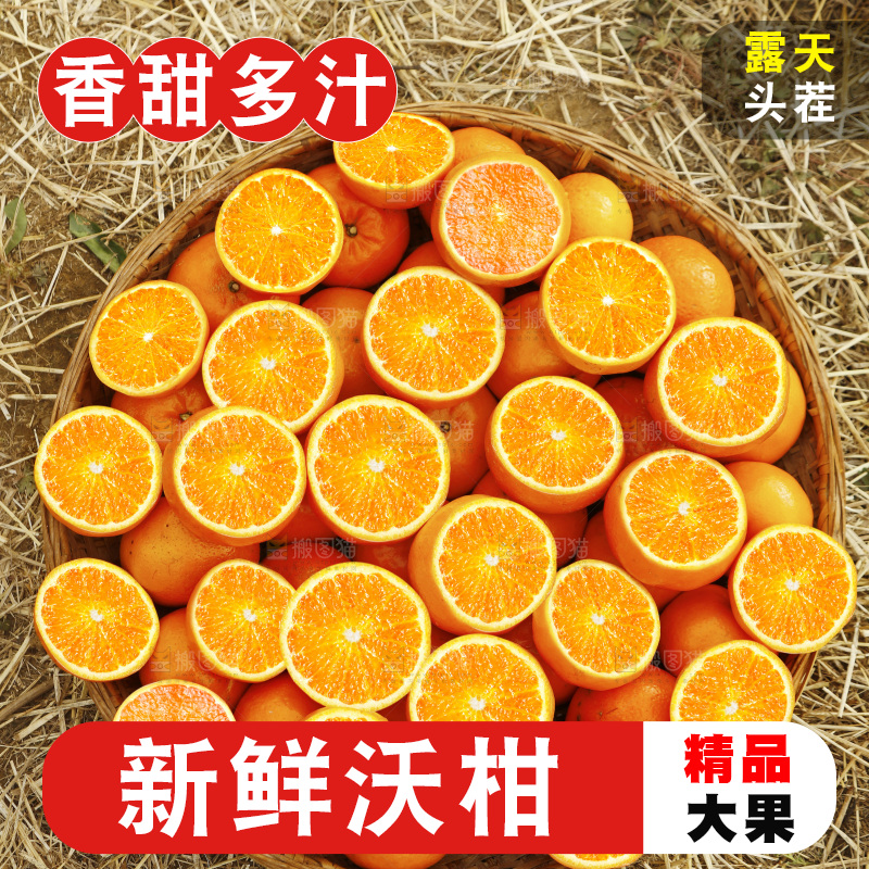 篮子里装着沃柑果肉