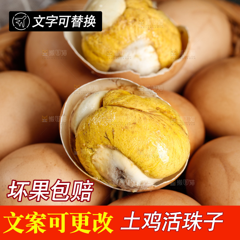 篮子里装着毛蛋
