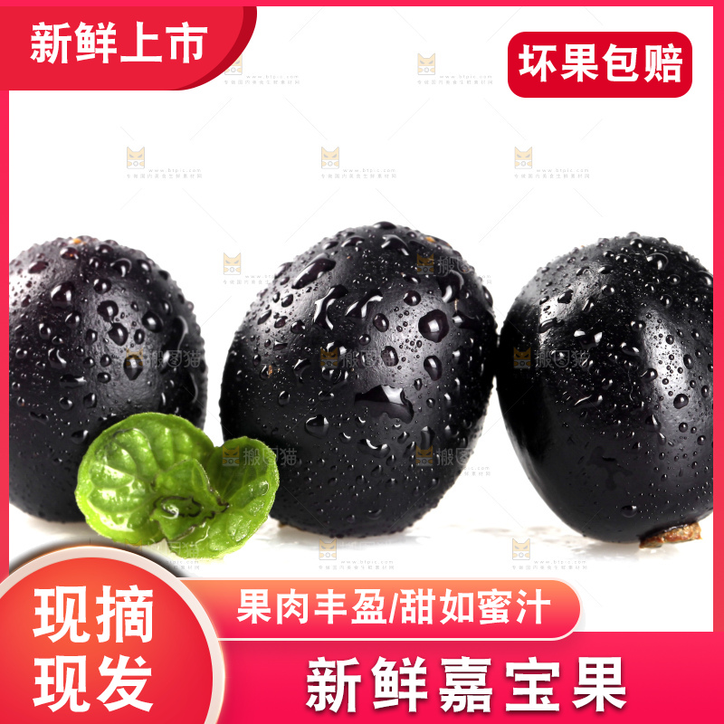 白底上的台湾嘉宝果