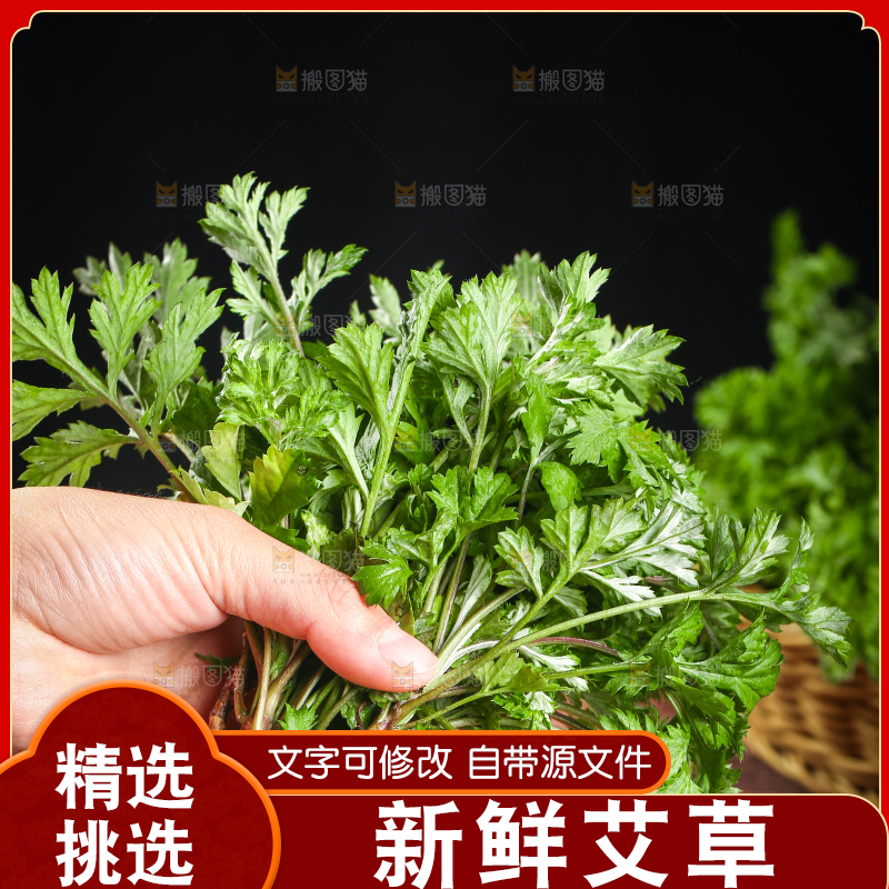 手里拿着艾草叶