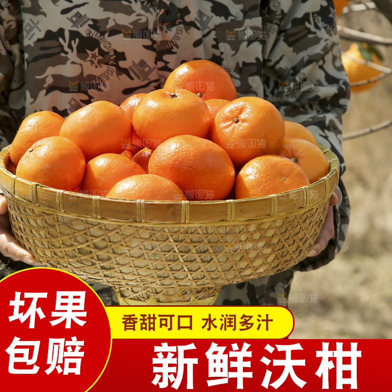 手里端着一篮沃柑