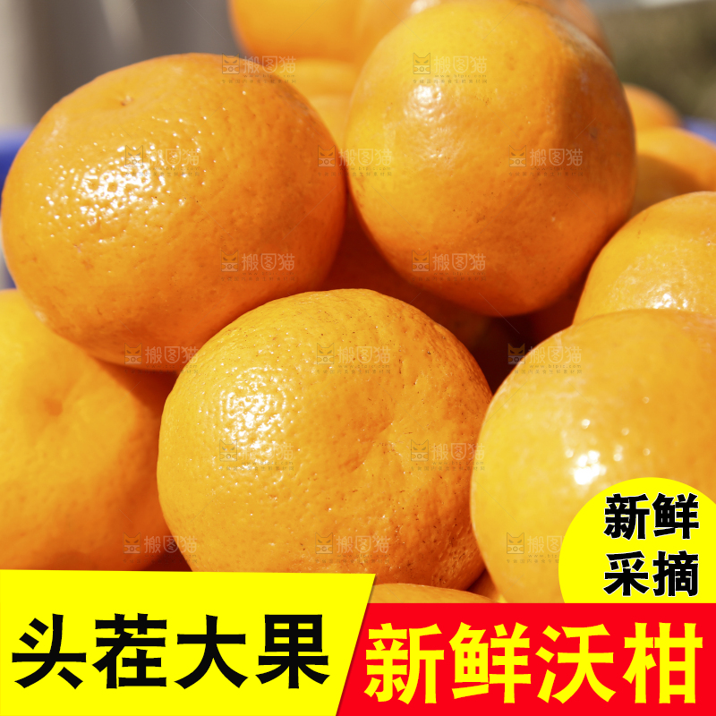 框子里装着广西沃柑