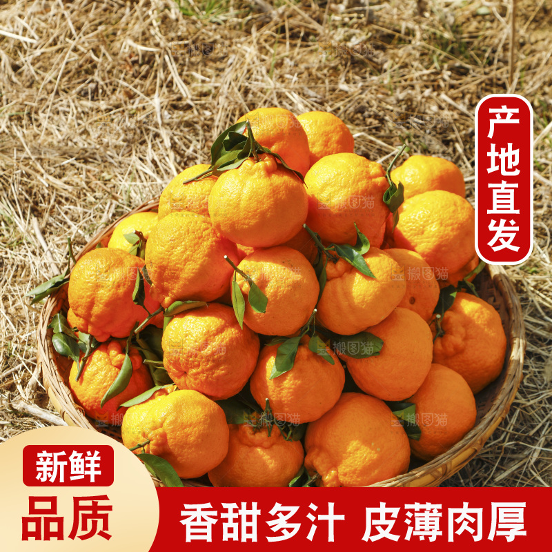 草地上放着一篮不知火丑橘