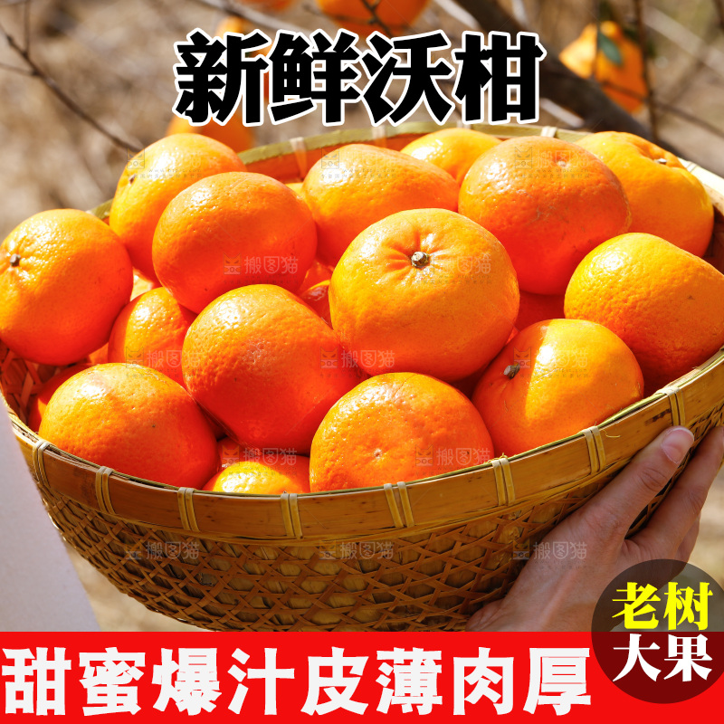 手里端着一篮新鲜沃柑