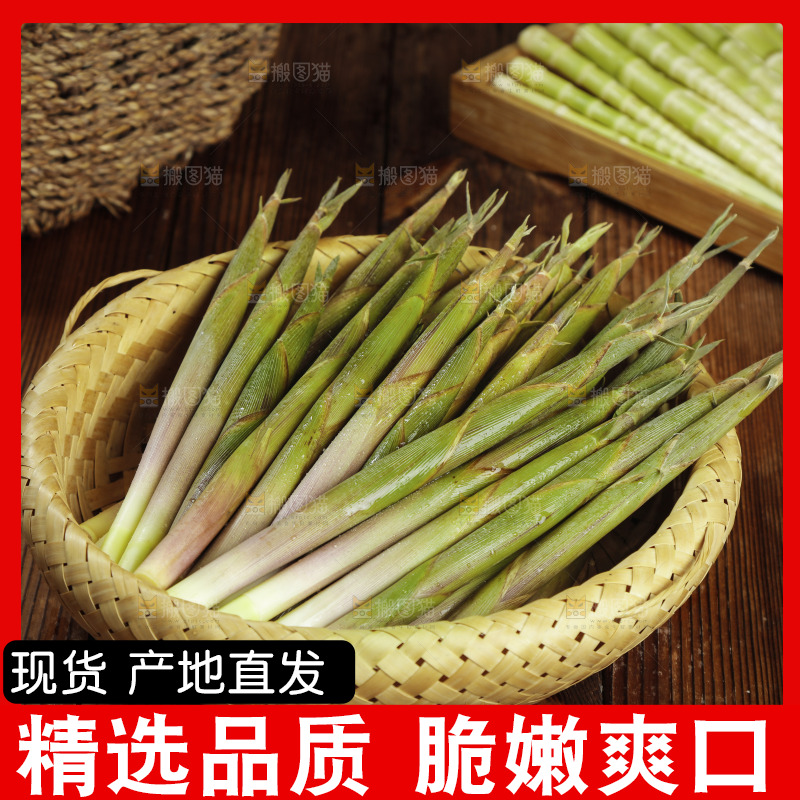 篮子里装着小春笋