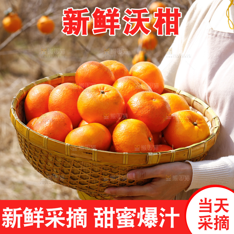 手里端着一篮新鲜沃柑