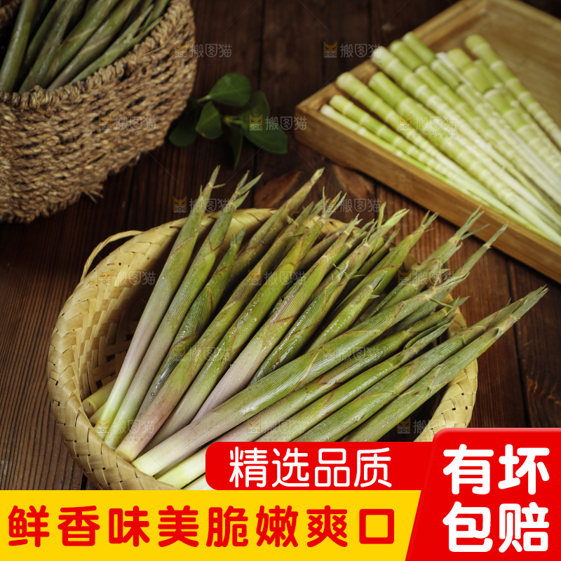 篮子里装着小春笋
