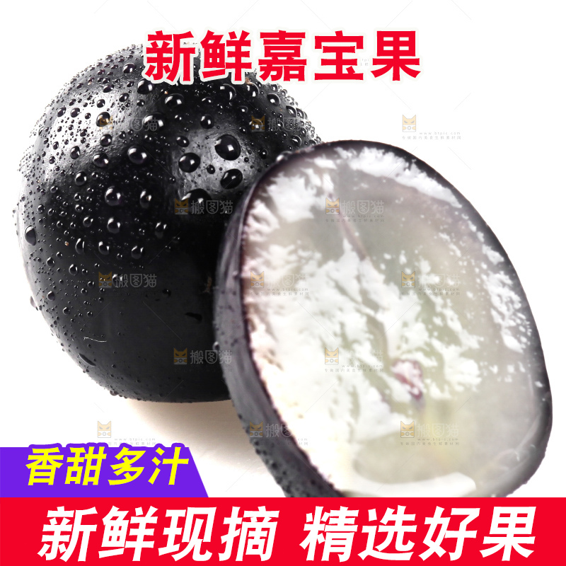 白底上的台湾嘉宝果