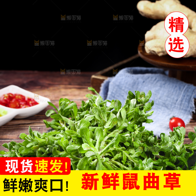 黑石板上的清明草