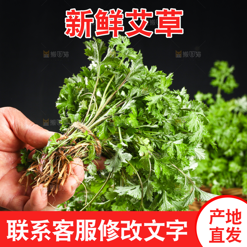 手里拿着新鲜艾草