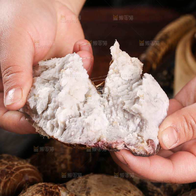 手里拿着红芽小芋头