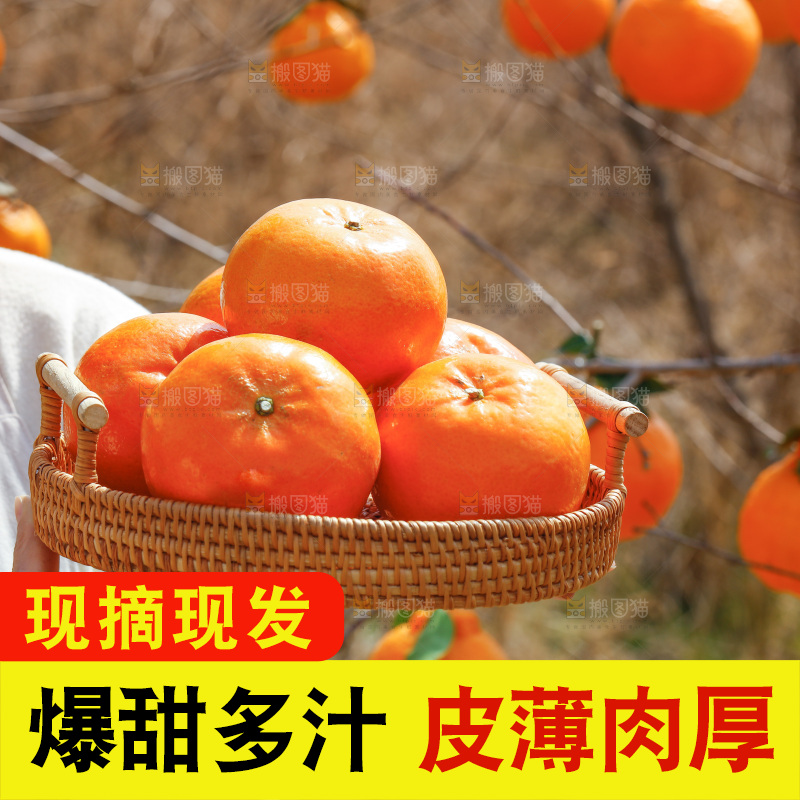 手里端着一篮新鲜沃柑