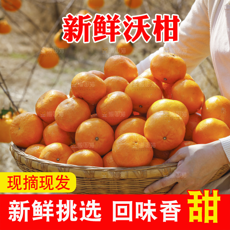 手里端着一篮新鲜沃柑