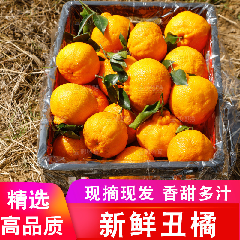 草地上放着一框四川丑橘