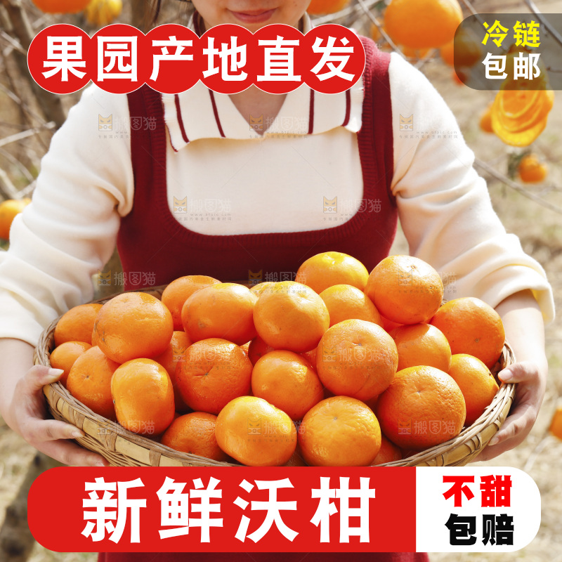手里端着一篮广西沃柑