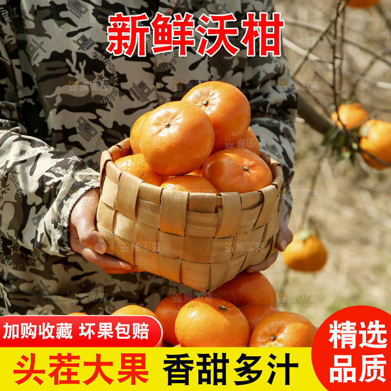 手里端着一篮沃柑
