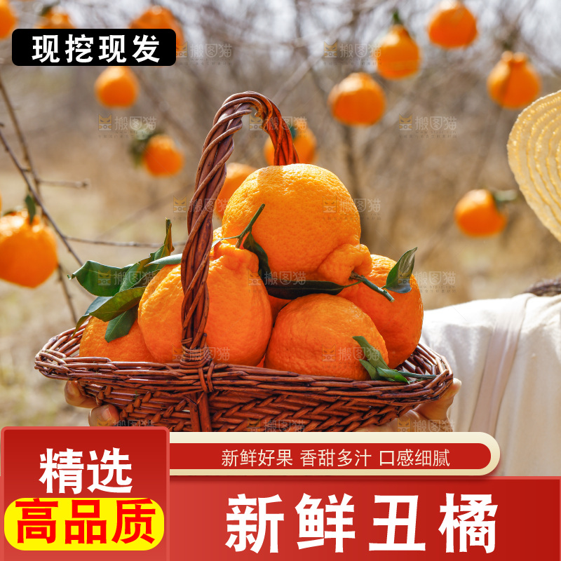 手里端着一篮丑橘