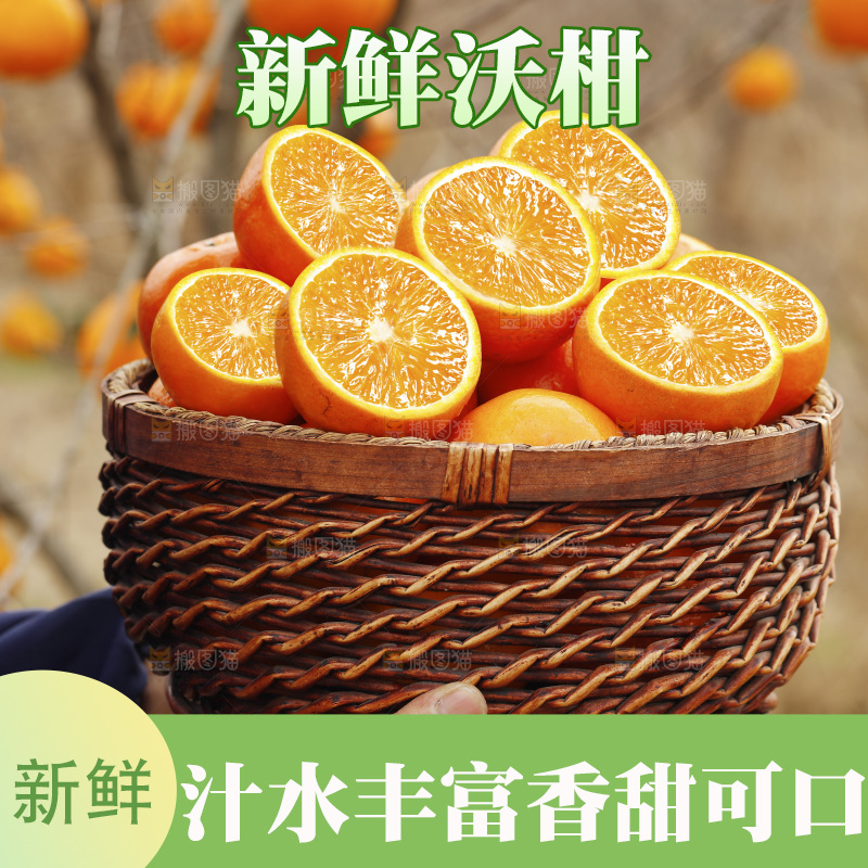 手里端着一篮广西沃柑