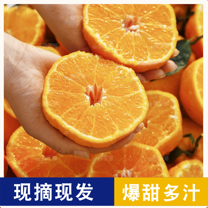 手里拿着切开的不知火丑橘