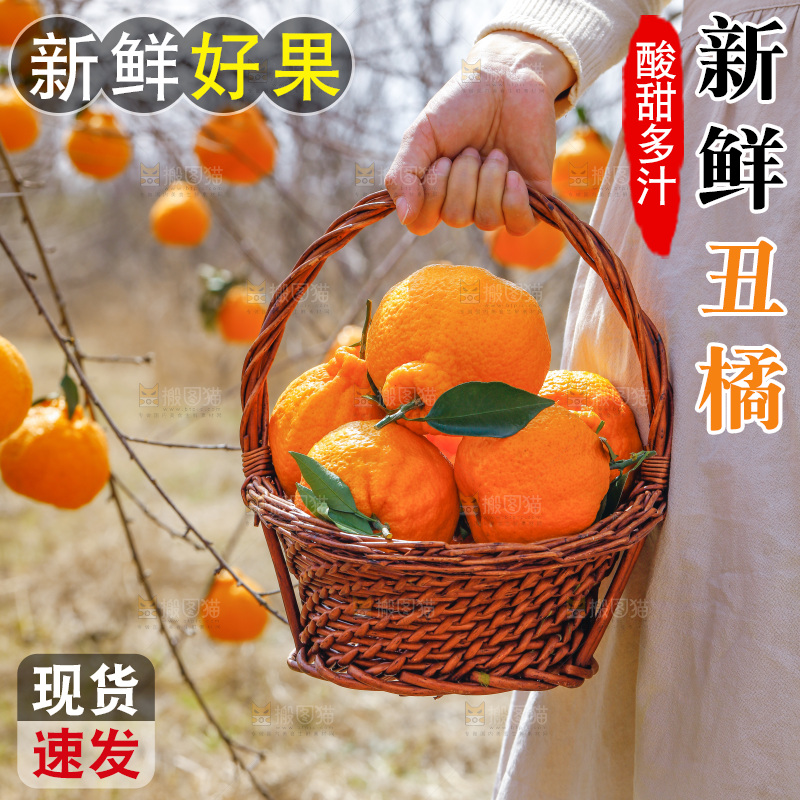 手里提着一篮不知火丑橘