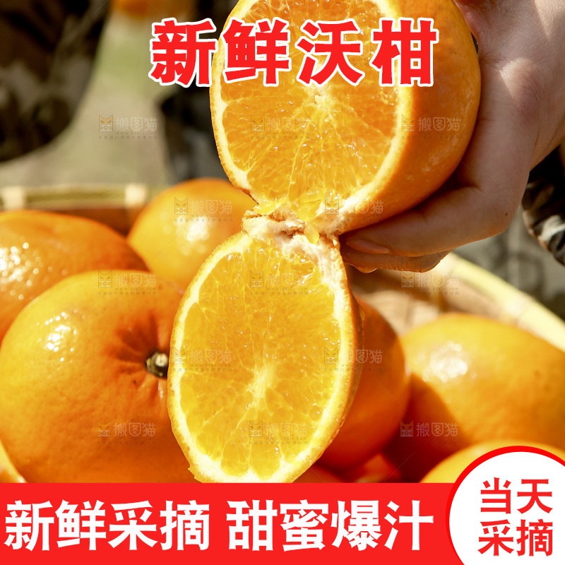 手里拿着切开的沃柑
