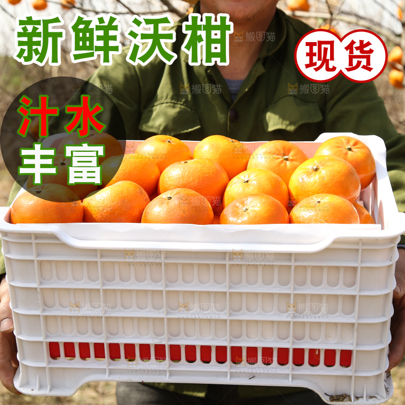 手里抱着一框广西武鸣沃柑