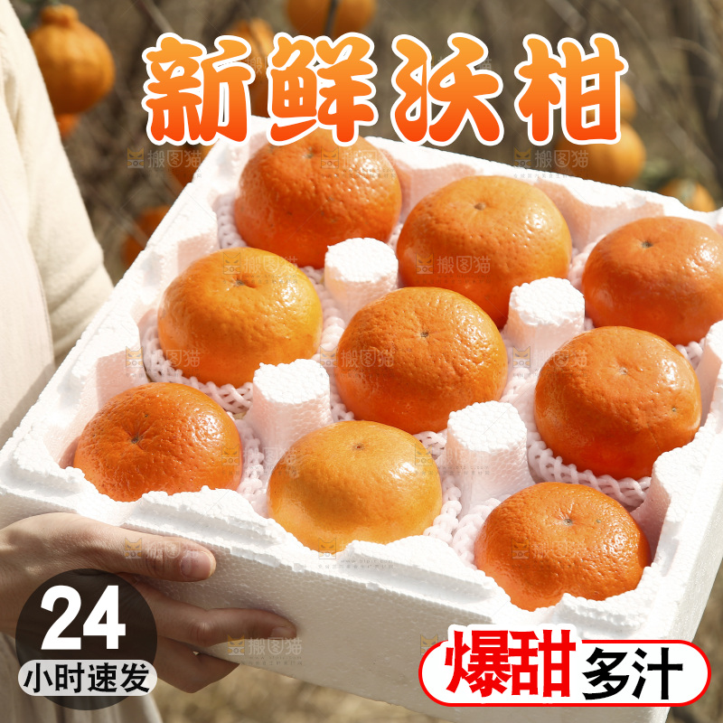 泡沫箱里装着武鸣沃柑