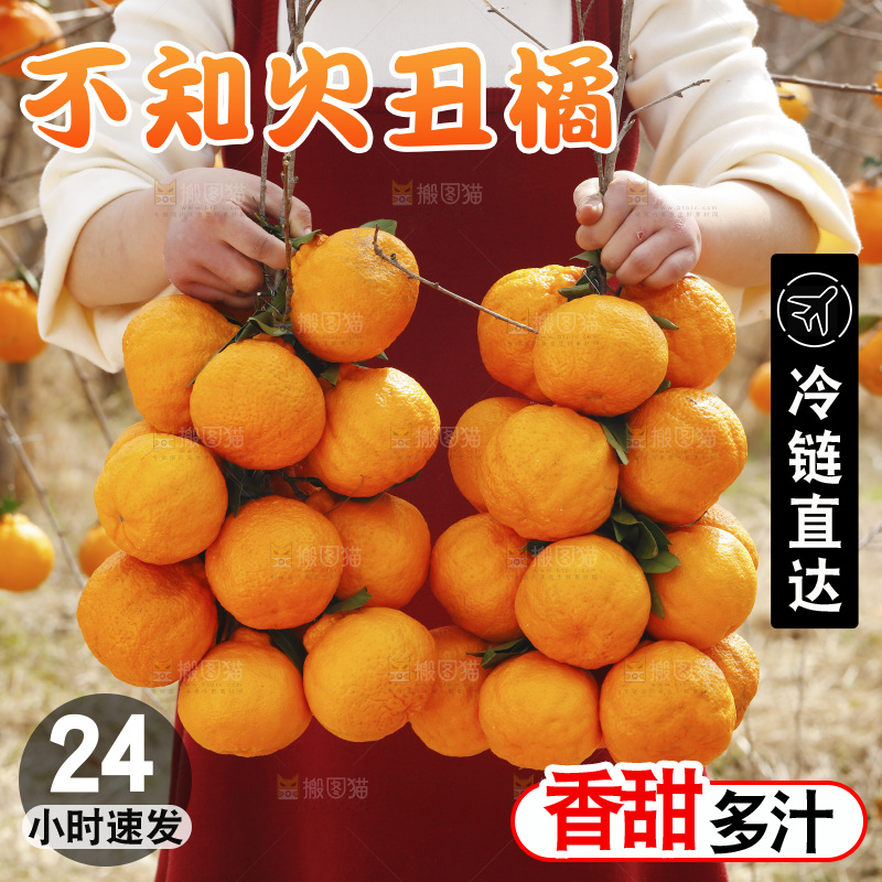 手里拿着两串丑橘