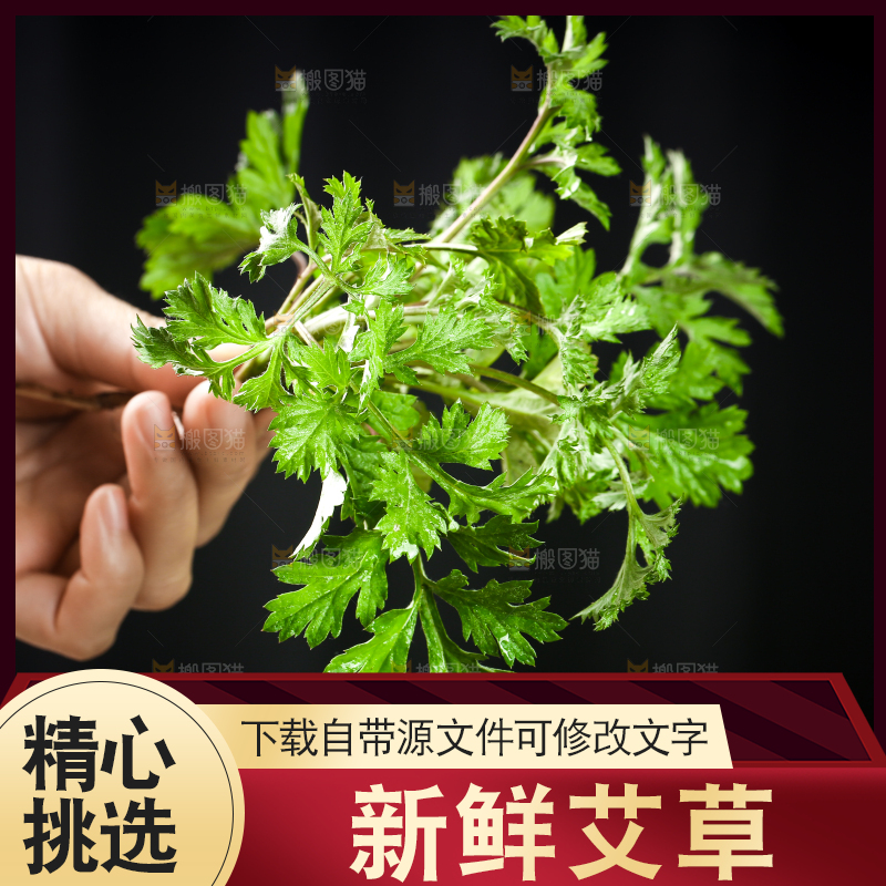 手里拿着艾草叶