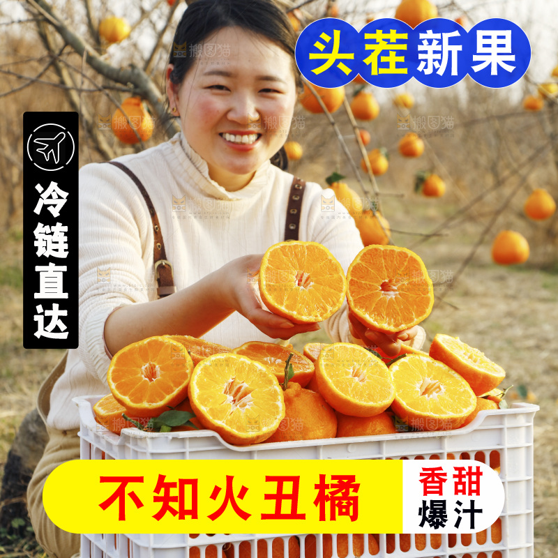 果园女人手里拿着切开的丑橘