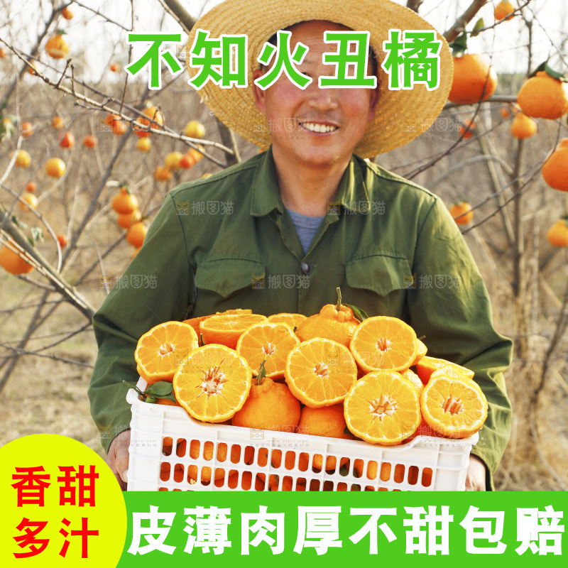 果雷锋农民手里抱着一框四川丑橘