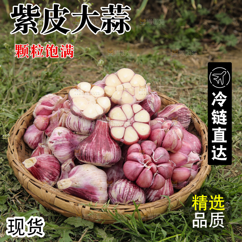 一篮紫皮大蒜