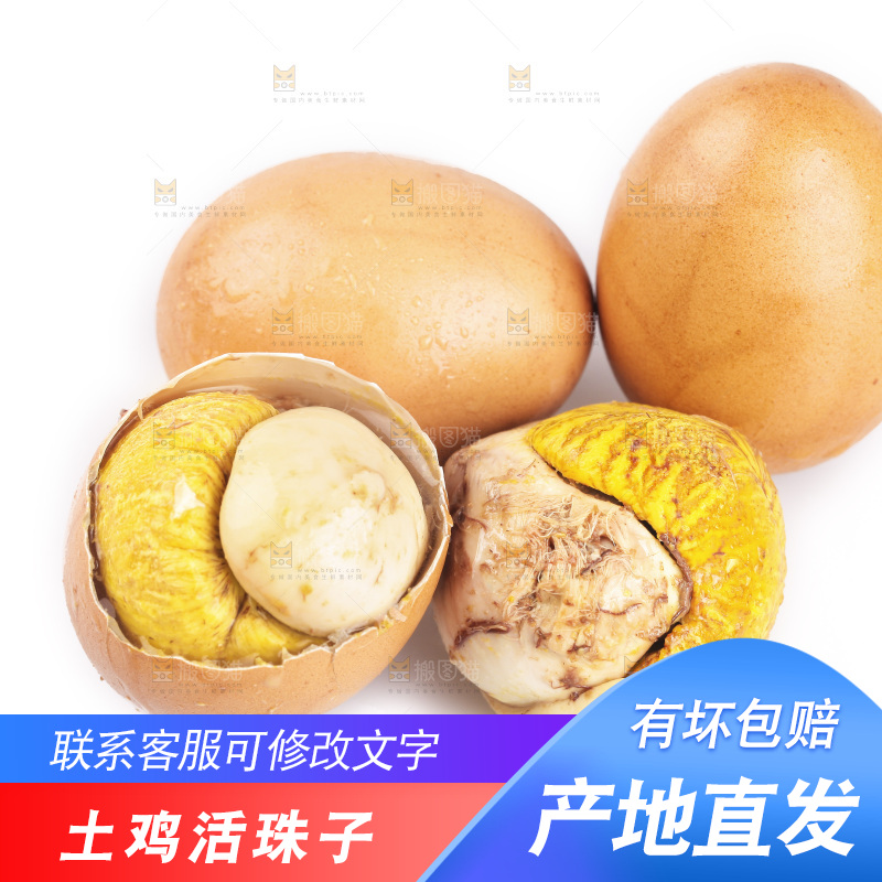 白底上放着土鸡蛋活珠子