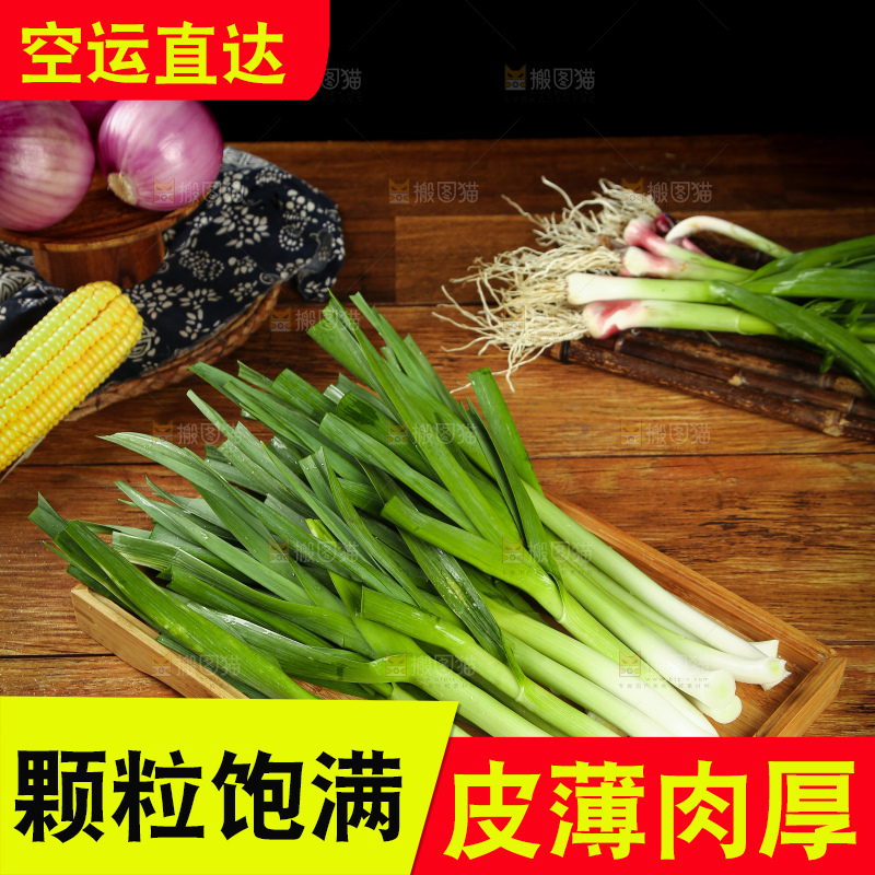 盘子里的蒜苗