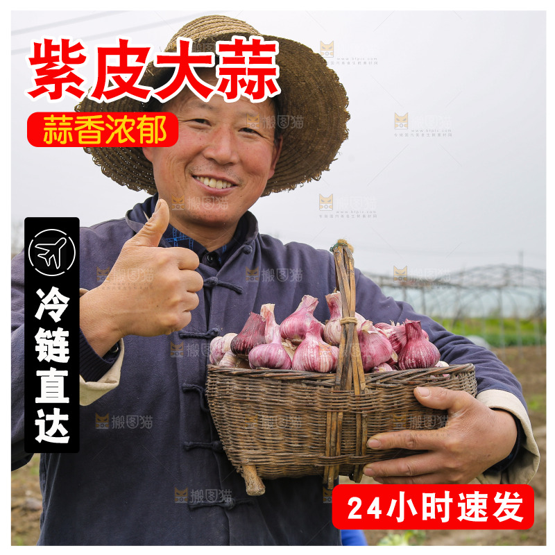 一篓新鲜紫皮大蒜
