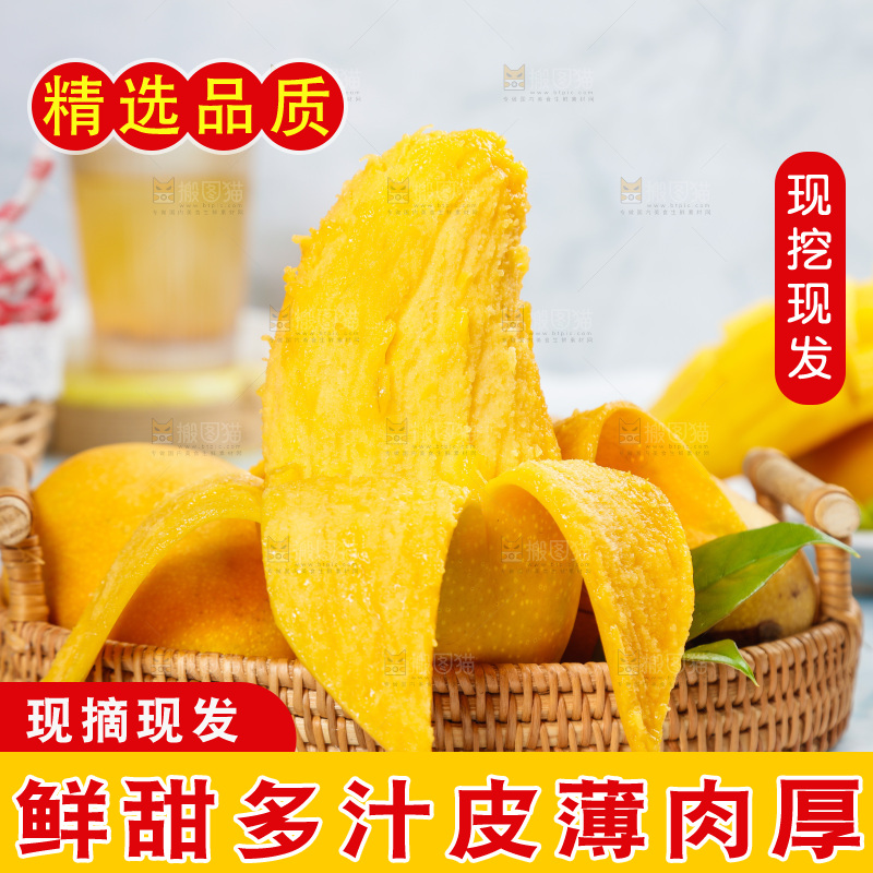 篮子里装着金煌水仙芒