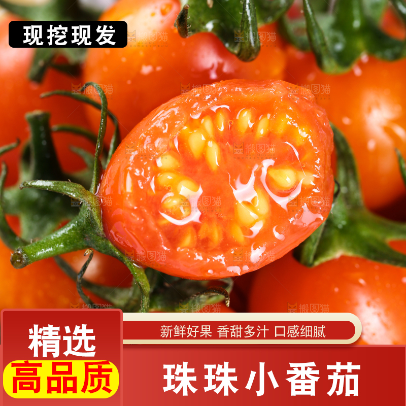 一堆小番茄
